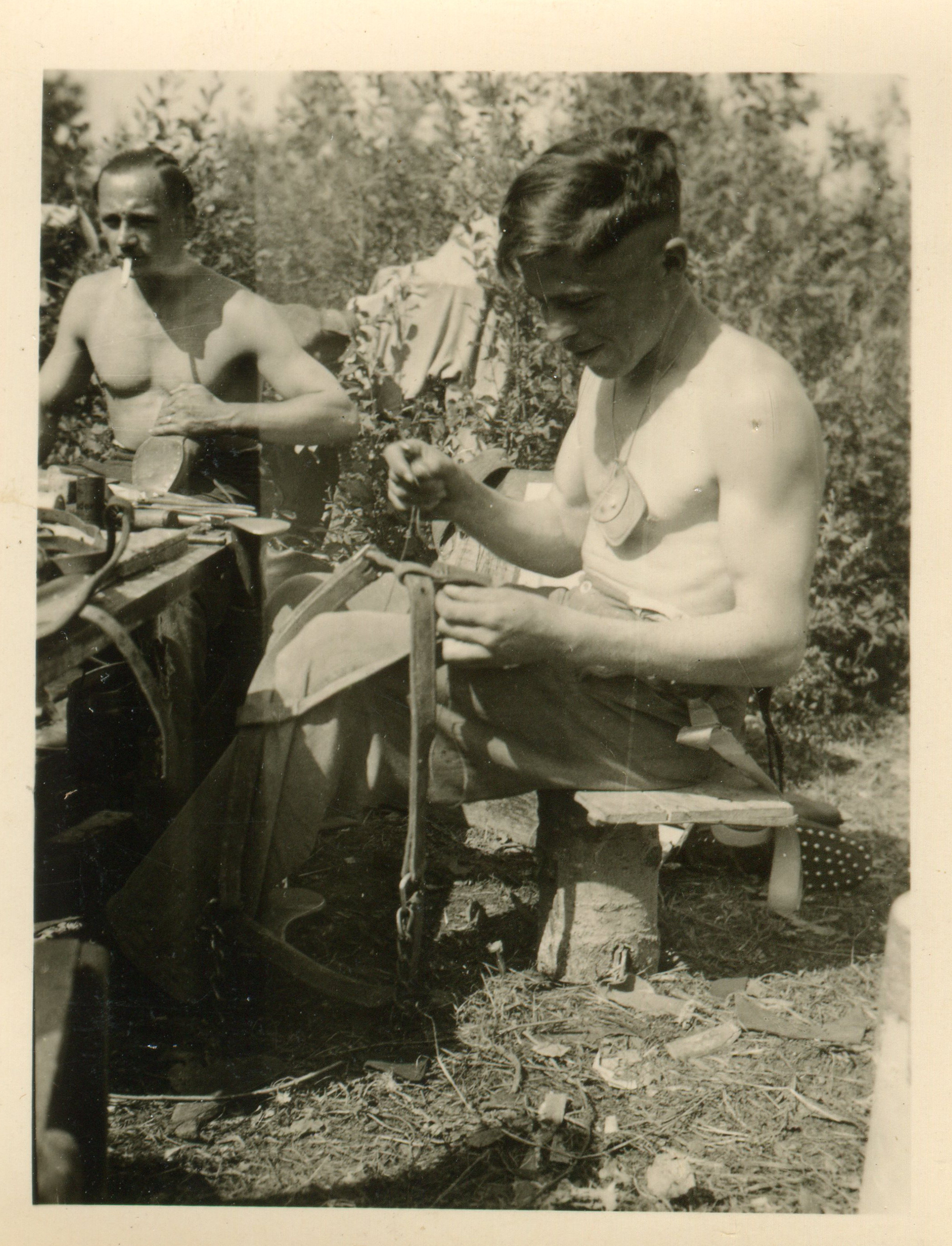 Sattler gallery cover image