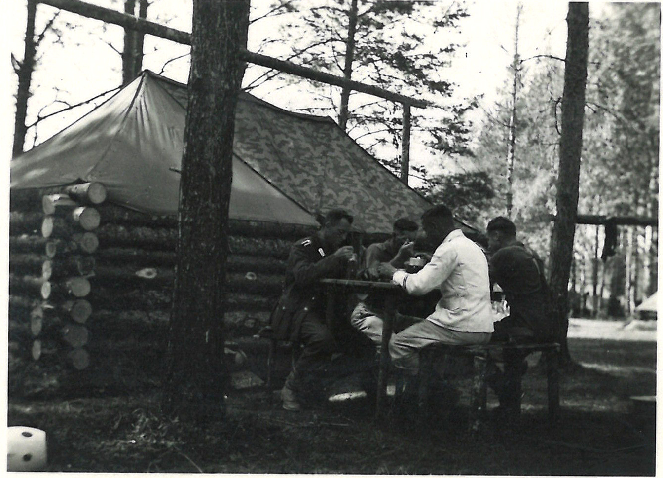 Zelt structure gallery cover image